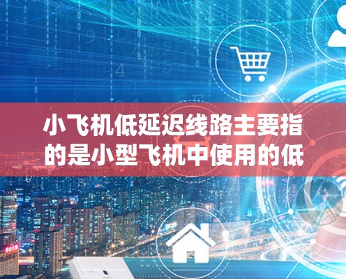 小飞机低延迟线路主要指的是小型飞机中使用的低延迟通信或数据传输系统，这些系统在确保飞行安全和实时控制方面起到关键作用。以下是对该概念的详细解析