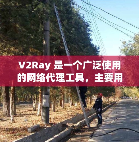 V2Ray 是一个广泛使用的网络代理工具,主要用于科学上网、防止网络监控和限制。它通过订阅地址获取代理服务器配置,用户可以根据需求选择不同的节点。以下是关于 V2Ray 订阅管理的详细说明