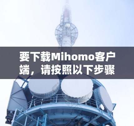要下载Mihomo客户端，请按照以下步骤操作