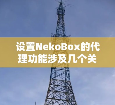 设置NekoBox的代理功能涉及几个关键步骤，确保代理服务器正常工作，并正确配置NekoBox以利用该代理。以下是详细的步骤指南