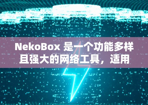 NekoBox 是一个功能多样且强大的网络工具,适用于处理网络数据、进行网络测试和保护敏感信息。以下是对 NekoBox 的详细分析和总结