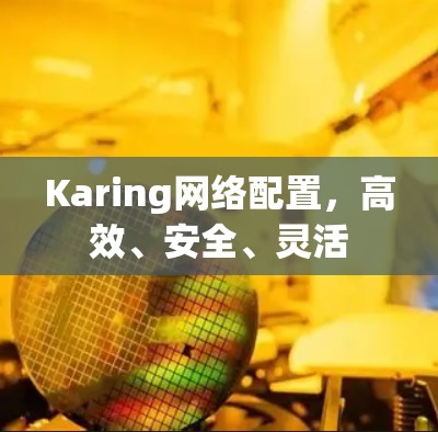 Karing网络配置,高效、安全、灵活