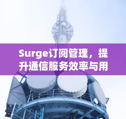 Surge订阅管理,提升通信服务效率与用户体验
