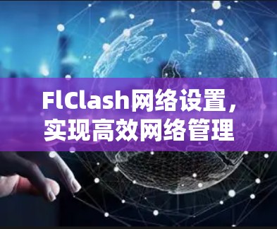 FlClash网络设置,实现高效网络管理