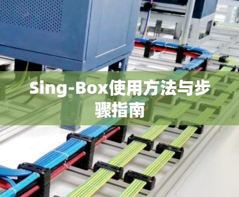 Sing-Box使用方法与步骤指南