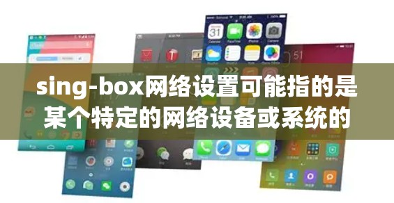 sing-box网络设置可能指的是某个特定的网络设备或系统的配置问题。由于sing-box并不是一个广为人知的常见设备或术语，以下是一些常见的网络设置指南，可能对你有所帮助