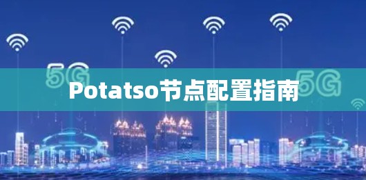 Potatso节点配置指南
