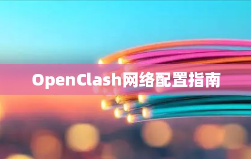 OpenClash网络配置指南