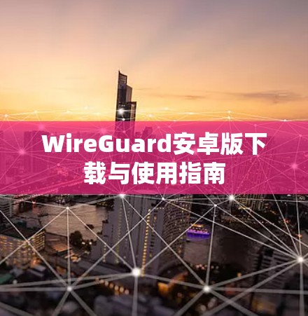 WireGuard安卓版下载与使用指南