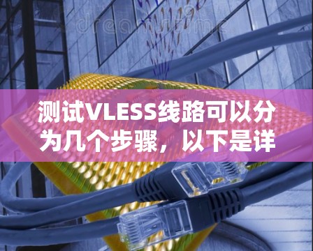 测试VLESS线路可以分为几个步骤，以下是详细的步骤说明