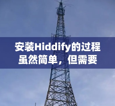 安装Hiddify的过程虽然简单，但需要仔细遵循每一步以确保顺利完成。以下是分步说明