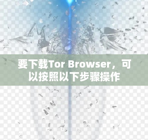 要下载Tor Browser,可以按照以下步骤操作