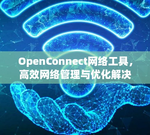 OpenConnect网络工具，高效网络管理与优化解决方案