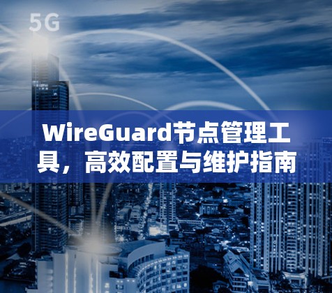 WireGuard节点管理工具,高效配置与维护指南