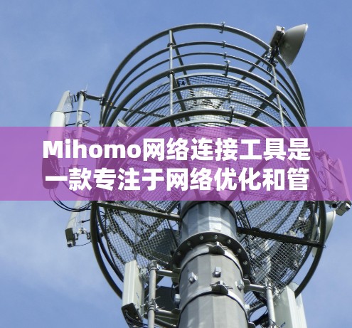 Mihomo网络连接工具是一款专注于<strong>网络优化</strong>和管理的解决方案,旨在帮助用户提升网络性能和安全性。以下是Mihomo网络连接工具的主要功能和特点