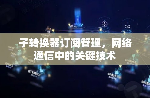 子转换器订阅管理,网络通信中的关键技术