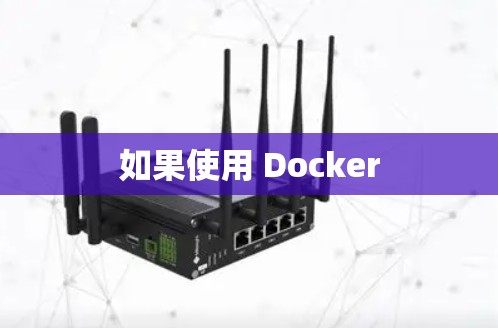 如果使用 Docker 如果使用 Docker