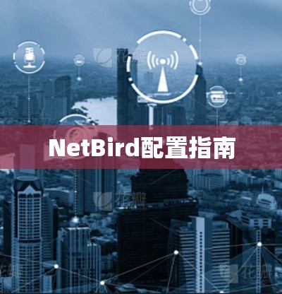NetBird配置指南