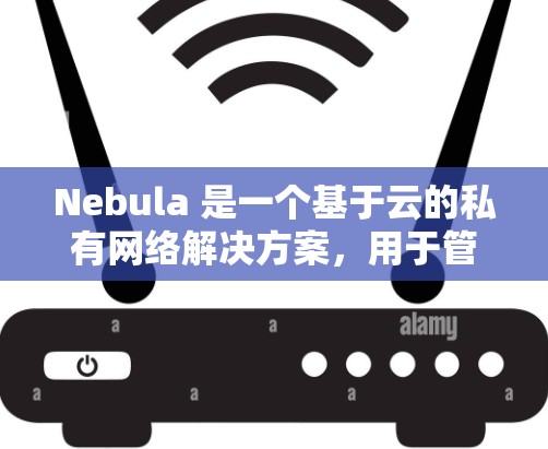 Nebula 是一个基于云的私有网络解决方案,用于管理和安全地访问内部网络资源。以下是设置 Nebula 服务器的分步指南