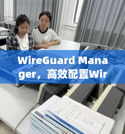 WireGuard Manager,高效配置WireGuard网络的利器