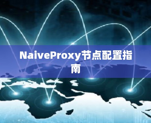 NaiveProxy节点配置指南 NaiveProxy节点配置指南