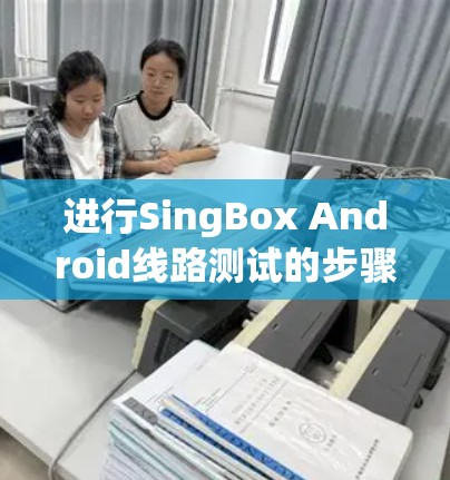 进行SingBox Android线路测试的步骤如下 进行SingBox Android线路测试的步骤如下