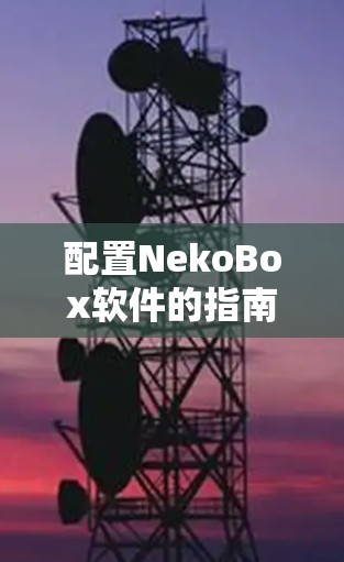 配置NekoBox软件的指南如下 配置NekoBox软件的指南如下