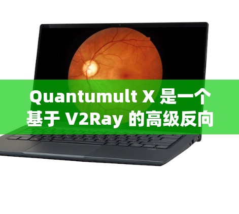 Quantumult X 是一个基于 V2Ray 的高级反向代理服务器,提供了更强大的功能和更好的配置选项。以下是 Quantumult X 服务器的设置步骤和常见配置