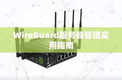 WireGuard服务器管理实用指南 WireGuard服务器管理实用指南