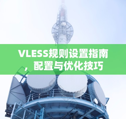 VLESS规则设置指南,配置与优化技巧