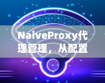 NaiveProxy代理管理,从配置到优化的全面指南