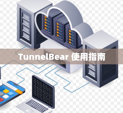 TunnelBear 使用指南