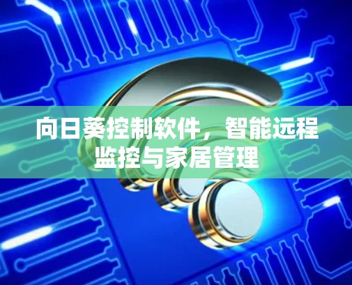向日葵控制软件,智能远程监控与家居管理