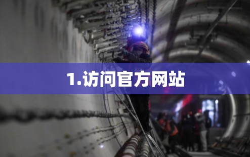 1.访问官方网站 1.访问官方网站