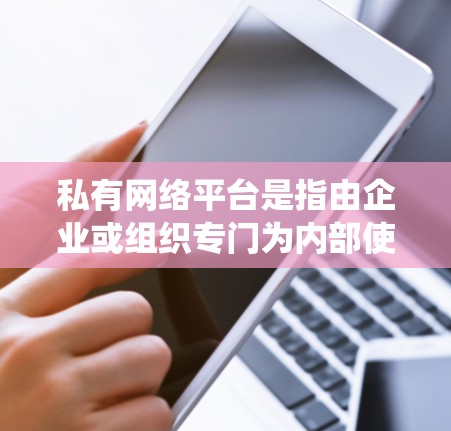 私有网络平台是指由企业或组织专门为内部使用而开发或运用的闭环系统,这些平台通常为特定用户提供定制化服务和功能,具有高度的安全性和控制性。以下是对私有网络平台的详细分析 私有网络平台是指由企业或组织专门为内部使用而开发或运用的闭环系统,这些平台通常为特定用户提供定制化服务和功能,具有高度的安全性和控制性。以下是对私有网络平台的详细分析