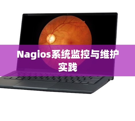 Nagios系统监控与维护实践 Nagios系统监控与维护实践