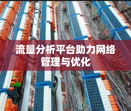 流量分析平台助力网络管理与优化 流量分析平台助力网络管理与优化
