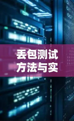 丢包测试方法与实现