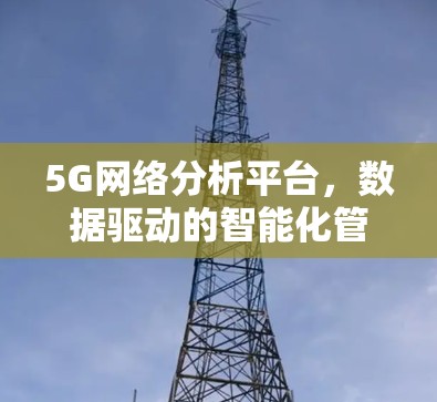 5G网络分析平台，数据驱动的智能化管理与优化