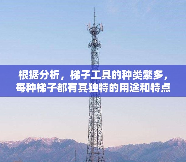 根据分析，梯子工具的种类繁多，每种梯子都有其独特的用途和特点。以下是对梯子工具的详细分类和建议