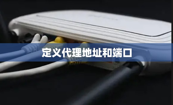 定义代理地址和端口