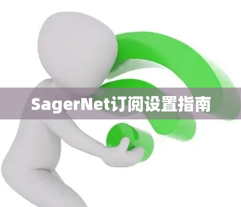 SagerNet订阅设置指南
