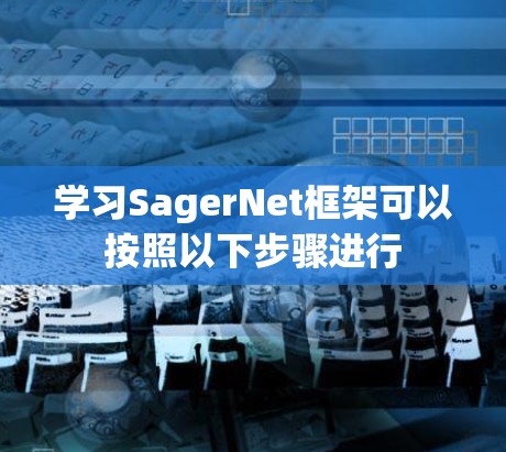 学习SagerNet框架可以按照以下步骤进行 学习SagerNet框架可以按照以下步骤进行