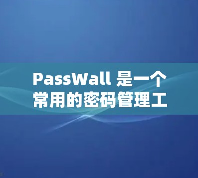 PassWall 是一个常用的密码管理工具，旨在帮助用户管理和存储密码，同时提供额外的安全功能。以下是一个简单的 PassWall 教程，假设你是第一次使用