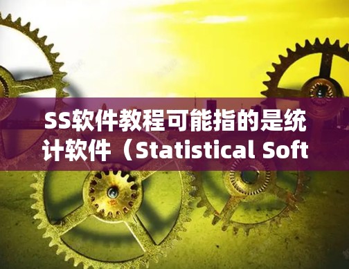 SS软件教程可能指的是统计软件（Statistical Software）或Subversion（SVN）软件等不同软件的教程。以下是一些常见的SS软件及其教程建议
