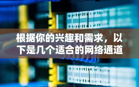 根据你的兴趣和需求，以下是几个适合的网络通道推荐，涵盖了科技、新闻、播客和多元化内容