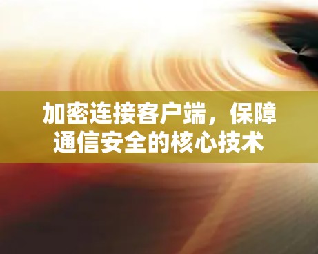 加密连接客户端,保障通信安全的核心技术 加密连接客户端,保障通信安全的核心技术