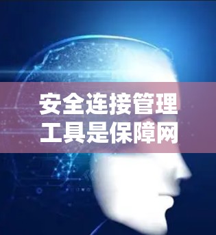 安全连接管理工具是保障网络安全的重要组成部分，帮助用户有效识别和应对潜在的安全威胁。以下是关于安全连接管理工具的详细分析和建议