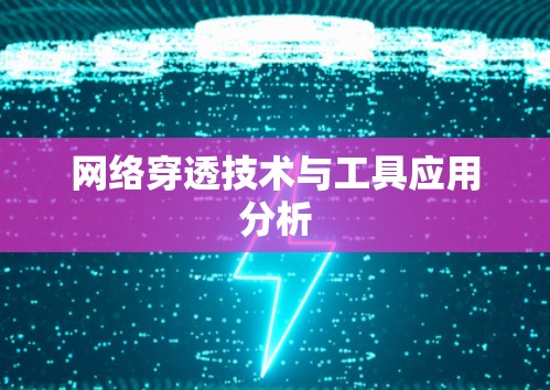 网络穿透技术与工具应用分析