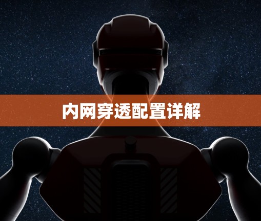 内网穿透配置详解